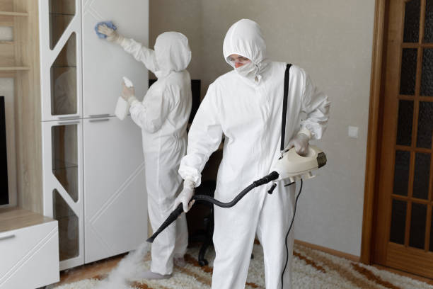 Mold Removal and Inspection in Mendota, IL
